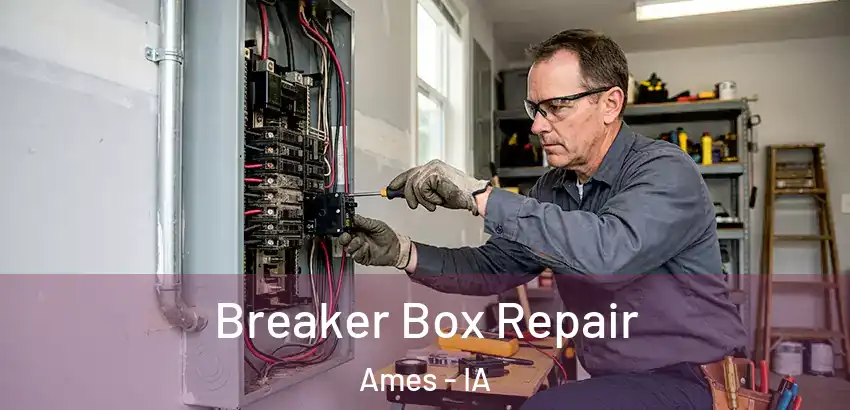  Breaker Box Repair Ames - IA