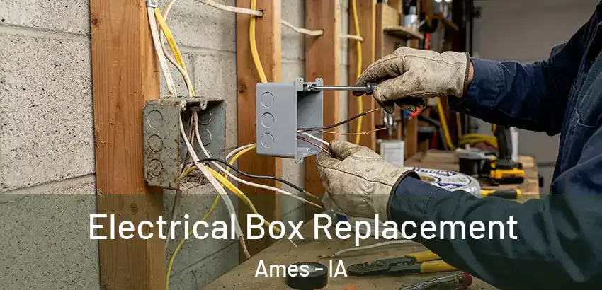  Electrical Box Replacement Ames - IA