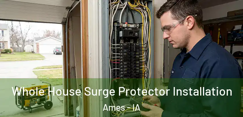  Whole House Surge Protector Installation Ames - IA